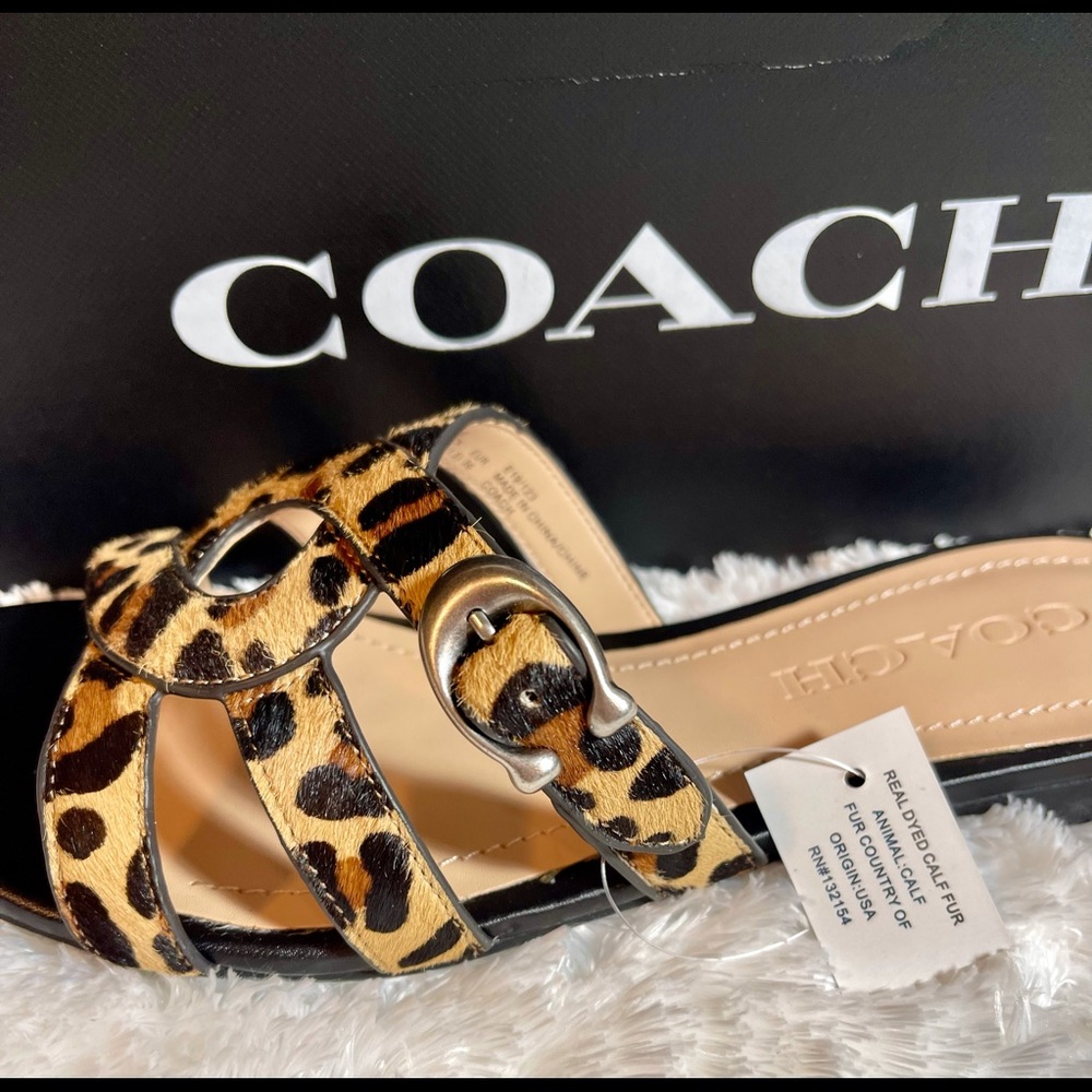 Coach - Picture 2 of 10